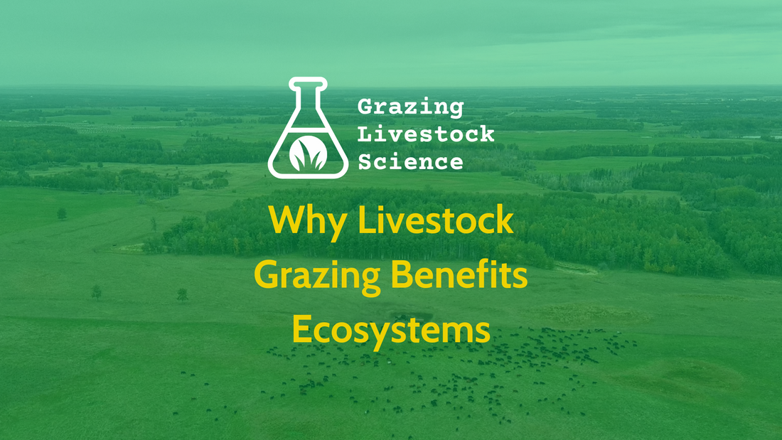 Why Livestock Grazing Benefits Ecosystems