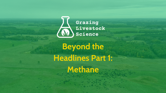 Beyond the Headlines Part 1: Methane
