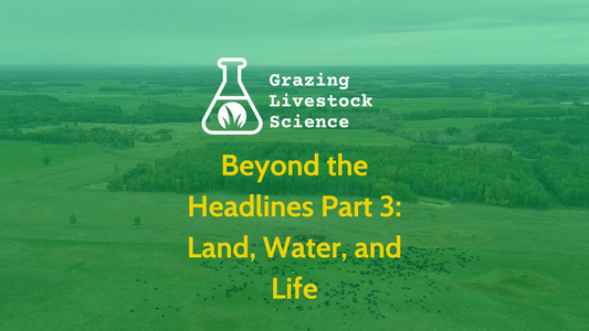 Beyond the Headlines Part 3: Land, Water, and Life
