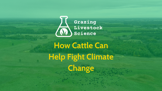The Science Behind Regenerative Ranching: How Cattle Can Help Fight Climate Change