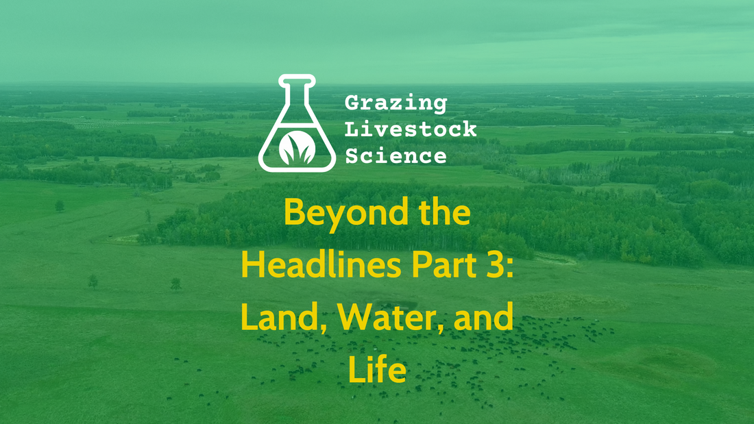 Beyond the Headlines Part 3: Land, Water, and Life