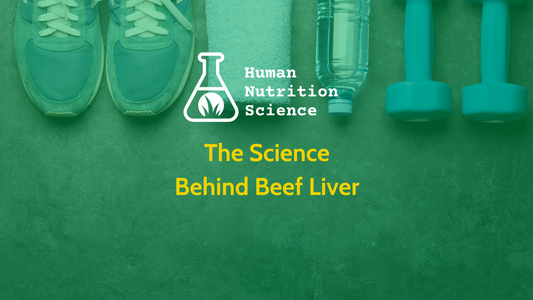 Beef Liver: Understanding this Superfood