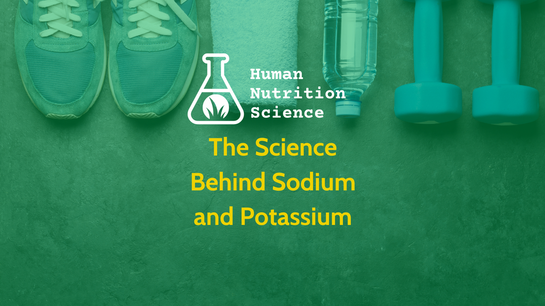 The Science Behind Sodium and Potassium: Understanding the Mineral Balance