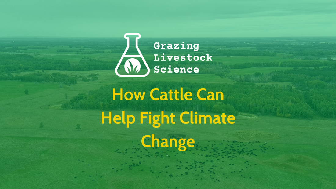 The Science Behind Regenerative Ranching: How Cattle Can Help Fight Climate Change