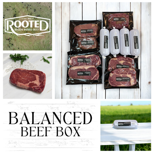 Balanced Box, Rooted Beef